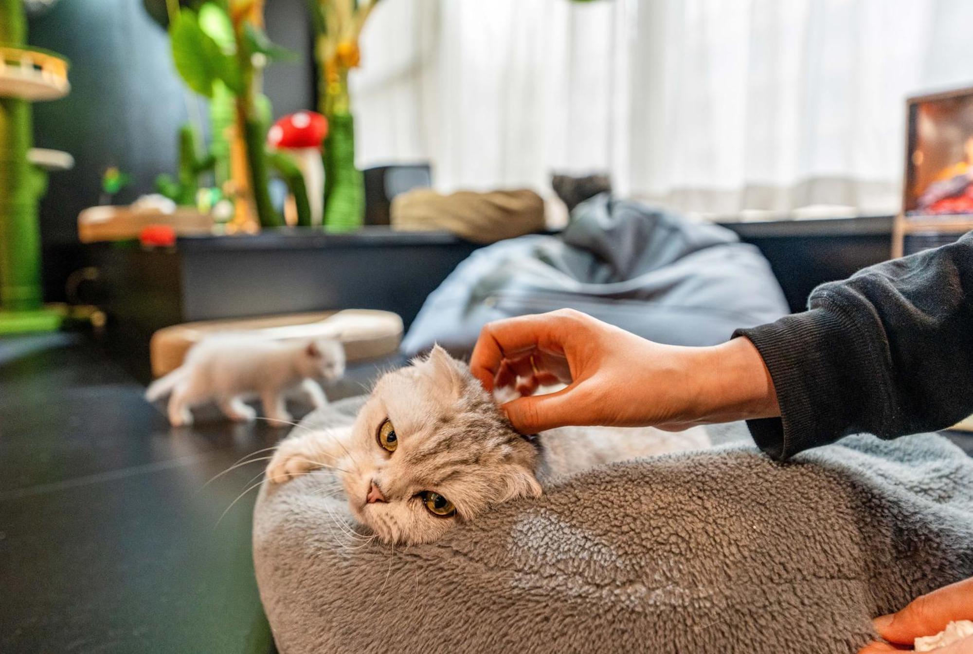 Hesu Designer Hotel & Suites -Near Xi'An Drum Tower And Yongning Gate -Free Laundry Luggage Storage -Kitty Cafe With Freshly Ground Coffee -24H Front Desk -English Service Exterior photo